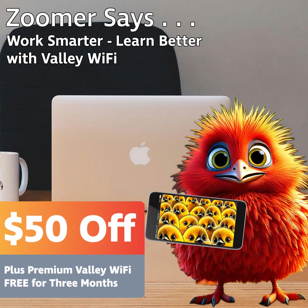 With Valley WiFi
